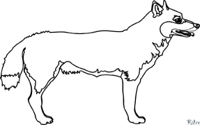 coyote Coloring Pages To Print